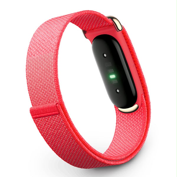 Google Fitbit Air - Smart Health Tracker